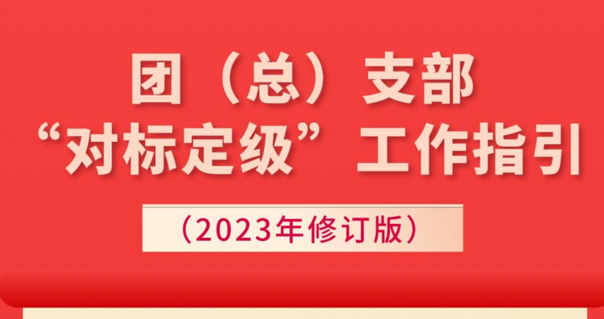 一图读懂｜《团（总）支部“对标定级”工作指引（2023年修订版）》