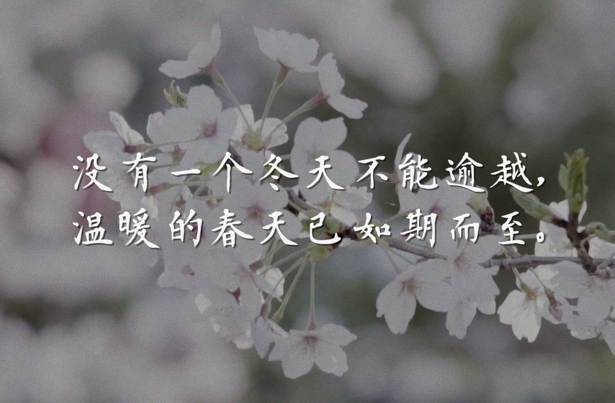 《新湘雅武汉52天》 